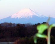 神奈川県から富士山 茅ヶ崎市から元旦に撮影